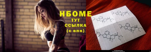индика Алексин