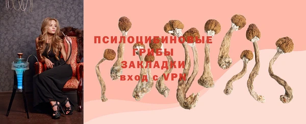 мяу мяу мука Абинск