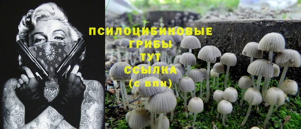таблы Алзамай