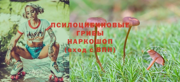 герыч Абаза
