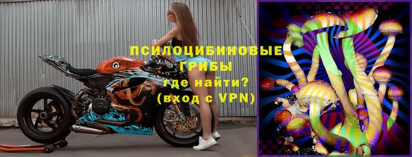 индика Алексин